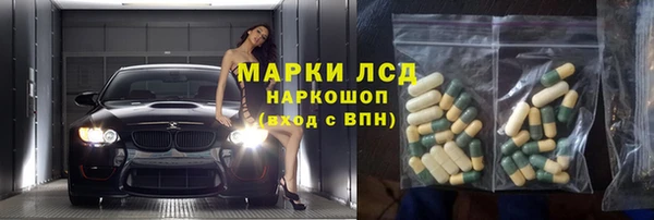 сатива Сосновый Бор