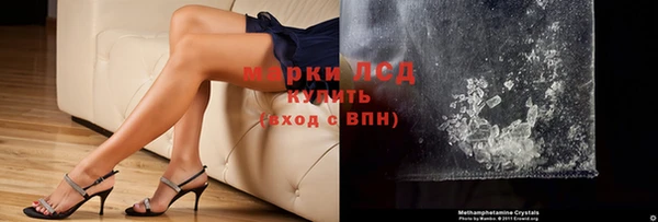 сатива Сосновый Бор