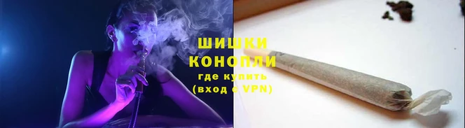 сатива Сосновый Бор