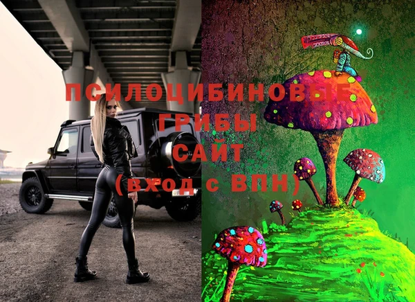 сатива Сосновый Бор