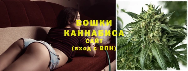 прущий лед Верея