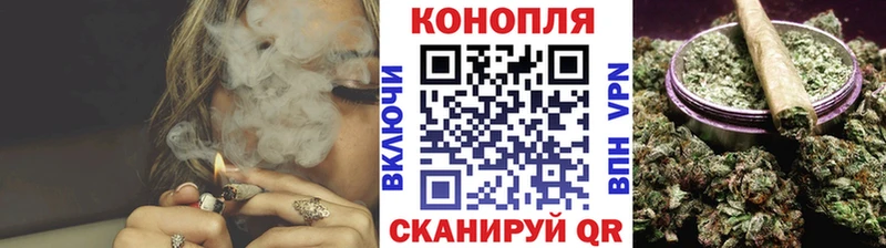 kraken зеркало  Гвардейск  Шишки марихуана White Widow 